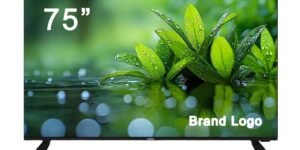 Top LED TV Manufacturer in India